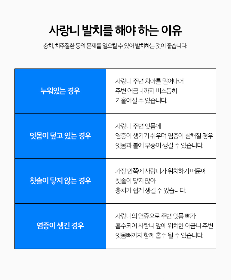 수원 사랑니발치 상세 안내 - 발치 전 영상에서 확인하는 것 - 아래턱 사랑니는 하치조신경관과 치근의 관계, 위턱 사랑니는 상악동과의 위치, 치아 방향과 뿌리 형태, 주변 염증과 앞 치아 상태를 확인합니다.